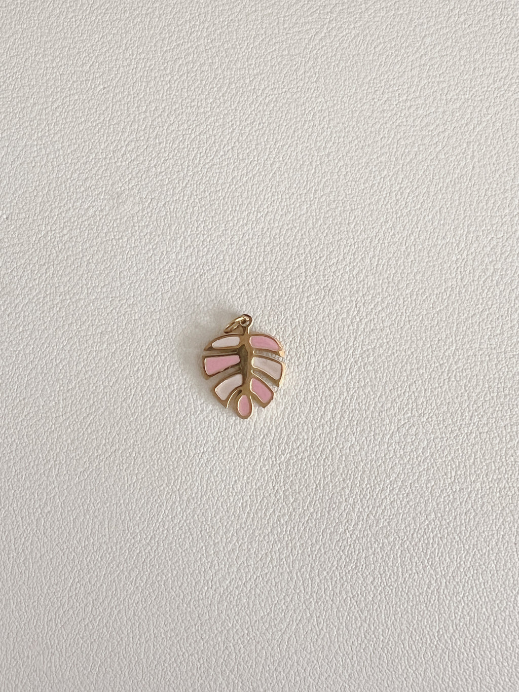 Pink monstera