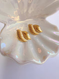 Load image into Gallery viewer, Aruba earrings
