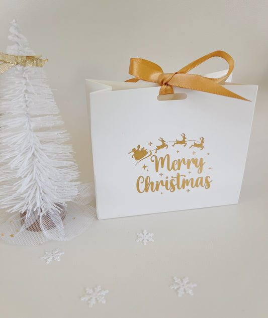 Merry Christmas gift bag