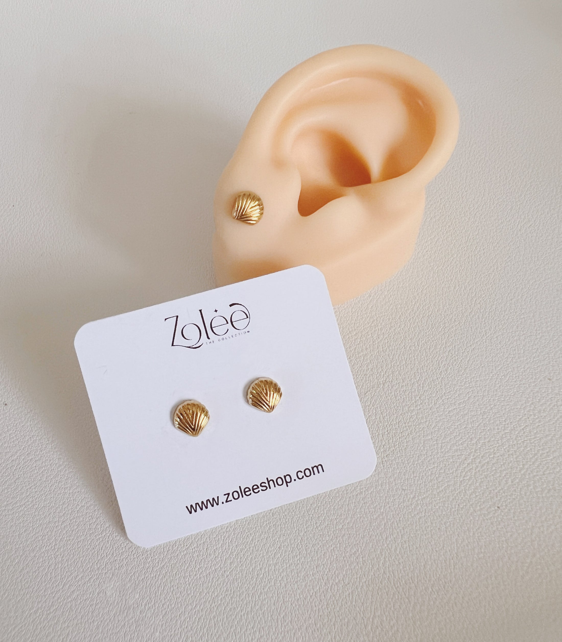 Shell studs