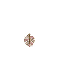 Pink monstera