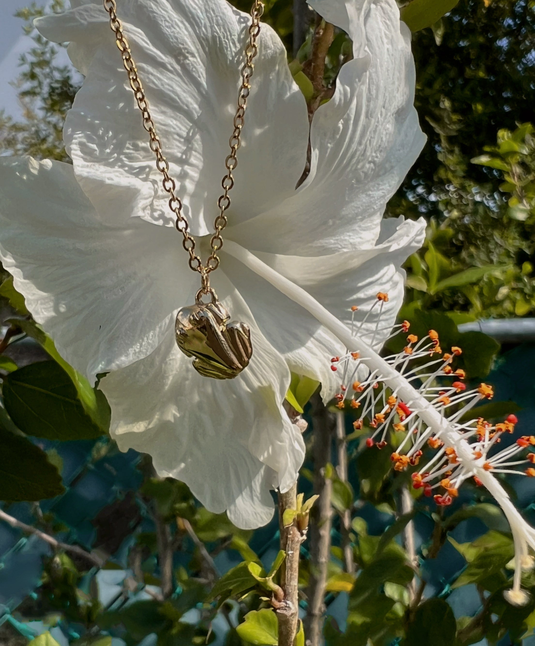 Coqui necklace